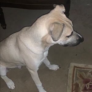 Meet your Posher, Jay